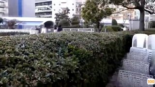 棕色头发的美女Kimora Quin被大鸡巴操她的阴道